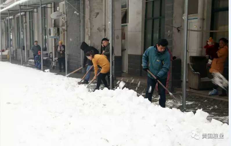 铲雪助孤寡