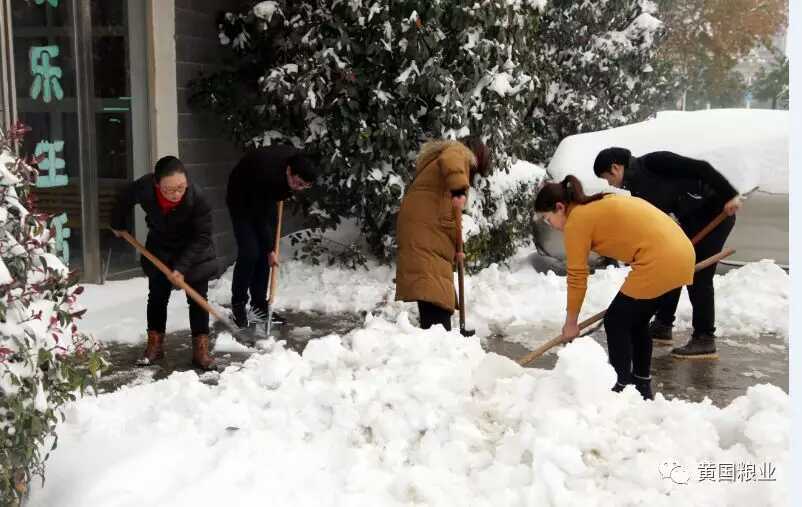 铲雪助孤寡